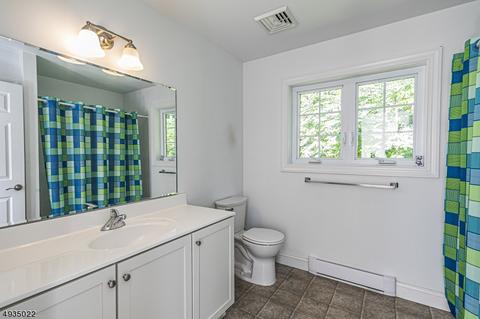 182 Spring Hill Rd, Skillman, NJ 08558 photo 18
