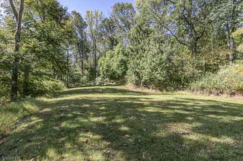182 Spring Hill Rd, Skillman, NJ 08558 photo 20
