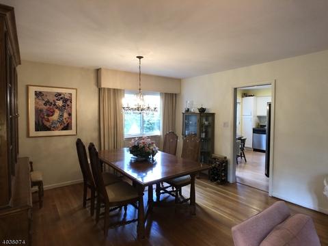 11 Michael Ct, Dover, NJ 07801 photo 7