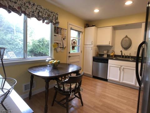 11 Michael Ct, Dover, NJ 07801 photo 4