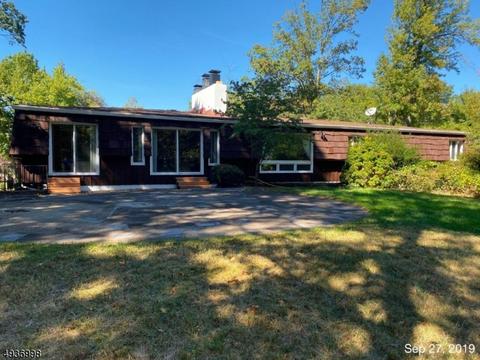 52 Tree Top Dr, Springfield, NJ 07081 photo 4