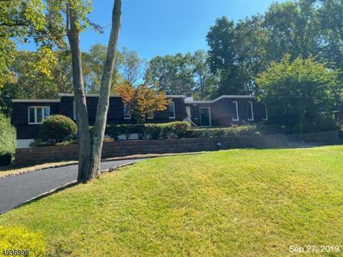 52 Tree Top Dr, Springfield, NJ 07081 photo 2