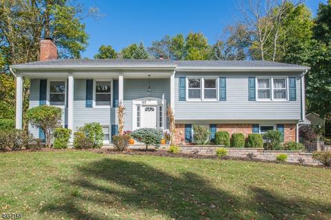 16 Pine Ter, Wayne, NJ 07470 photo 1