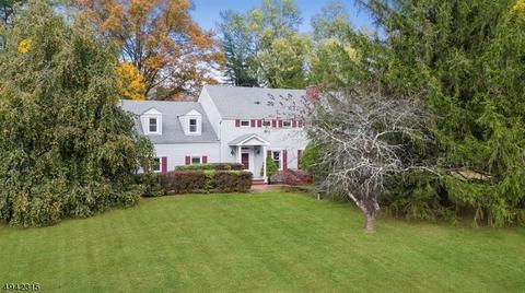 9 Jane Ter, Mendham, NJ 07945 photo 1