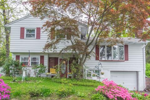 101 Algonquin Trl, Wayne, NJ 07470 photo 1