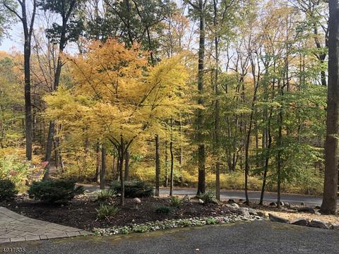 137 Black Brook Rd, Hampton, NJ 08827 photo 2