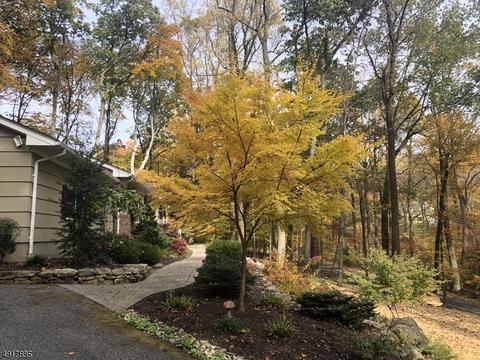 137 Black Brook Rd, Hampton, NJ 08827 photo 22