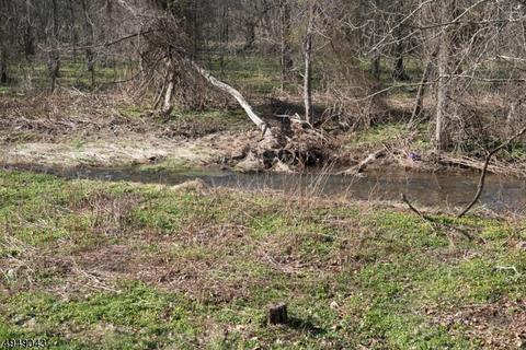 17 Bartles Corner Rd, Flemington, NJ 08822 photo 5