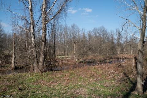 17 Bartles Corner Rd, Flemington, NJ 08822 photo 6