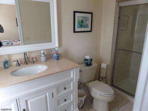 4 Ballantine Rd, Mendham, NJ 07945 photo 14