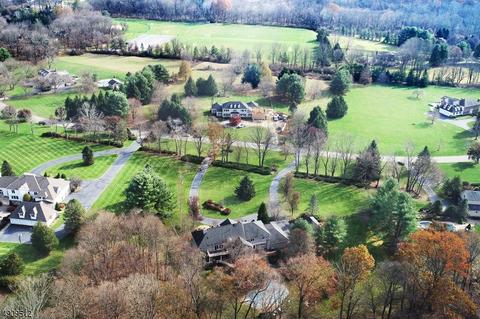 7 Kendall Ct, Mendham, NJ 07945 photo 23