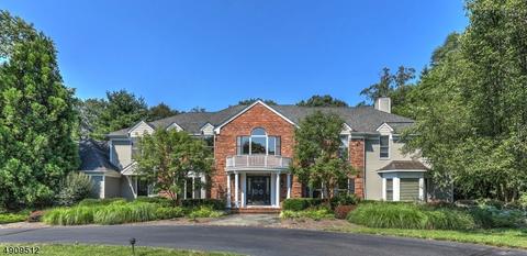 7 Kendall Ct, Mendham, NJ 07945 photo 3