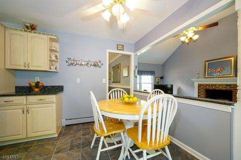 7 Hickory Ln, Long Valley, NJ 07853 photo 11