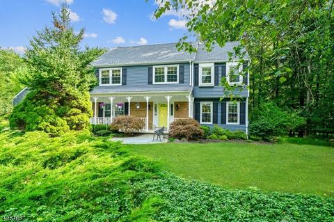 7 Hickory Ln, Long Valley, NJ 07853 photo 25