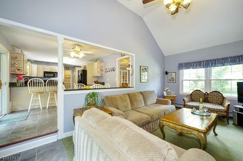 7 Hickory Ln, Long Valley, NJ 07853 photo 13