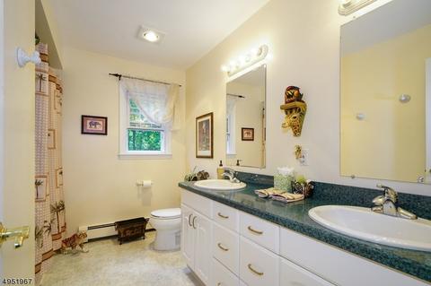 7 Hickory Ln, Long Valley, NJ 07853 photo 21