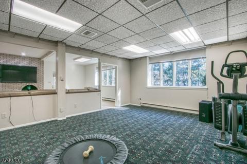 500 Mildred Pl, Oradell, NJ 07649 photo 23