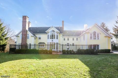 6 Windymere Ln, Mendham, NJ 07945 photo 23