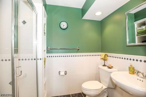 6 Windymere Ln, Mendham, NJ 07945 photo 17