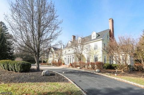 6 Windymere Ln, Mendham, NJ 07945 photo 25