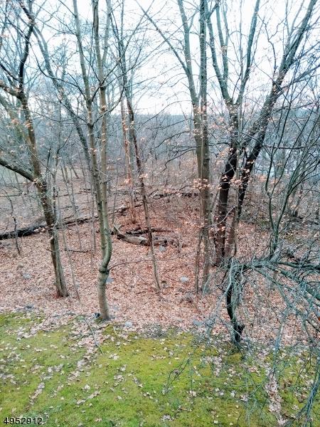 59 Ralph St, Wayne, NJ 07470 photo 22