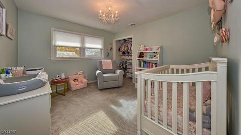10 Mohawk Dr, Springfield, NJ 07081 photo 20