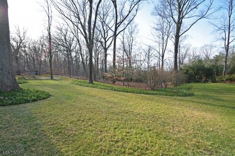 29 Little Wolf Rd, Summit, NJ 07901 photo 20