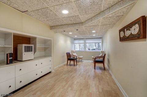 29 Little Wolf Rd, Summit, NJ 07901 photo 18