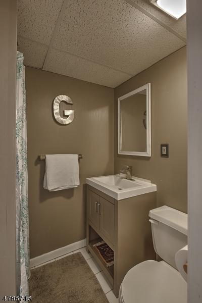 151 E Mendham Rd, Mendham, NJ 07945 photo 20