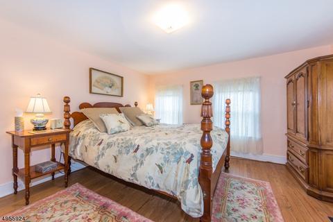 20 Roxiticus Rd, Mendham, NJ 07945 photo 13