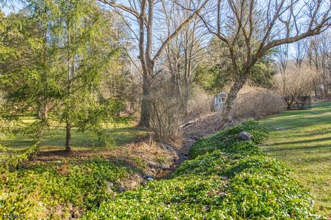 20 Roxiticus Rd, Mendham, NJ 07945 photo 18