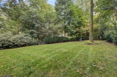 186 Blackburn Rd, Summit, NJ 07901 photo 18