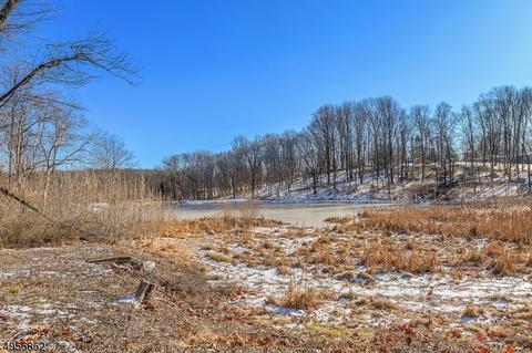 157 E Mendham Rd, Mendham, NJ 07945 photo 24