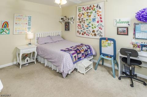 10 Hackberry Pl, Flemington, NJ 08822 photo 20