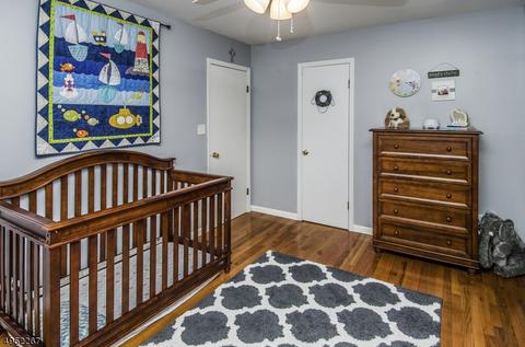 10 Hackberry Pl, Flemington, NJ 08822 photo 18