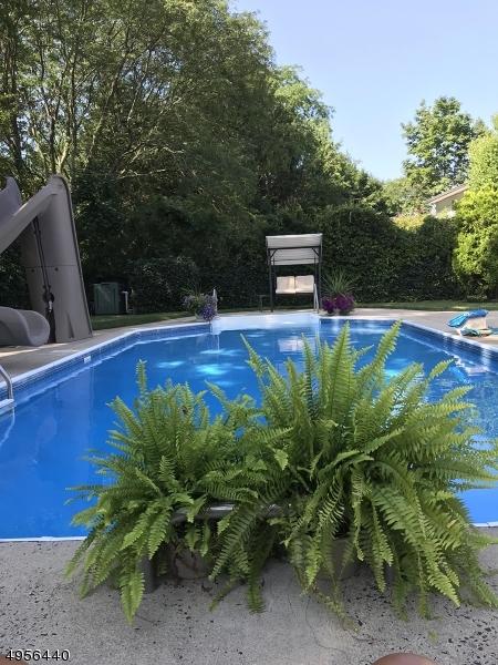 9 Hemlock Ter, Springfield, NJ 07081 photo 20