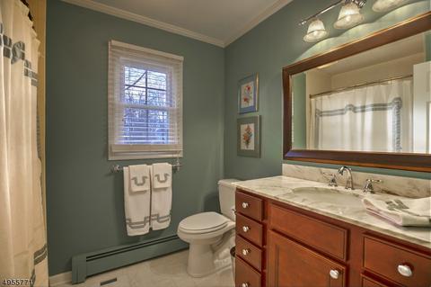 37 Phoenix Dr, Mendham, NJ 07945 photo 19