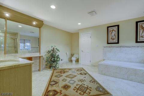 6 Dudley Ct, Wayne, NJ 07470 photo 17