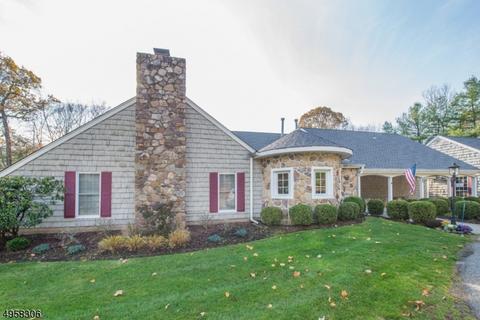 10 Tomahawk Dr, Wayne, NJ 07470 photo 24