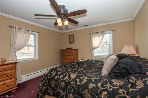 29 Lingert Ave, Clinton, NJ 08809 photo 7