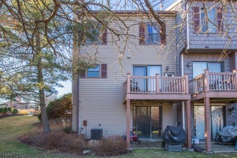 60 Duck Hawk Ct, Hackettstown, NJ 07840 photo 19