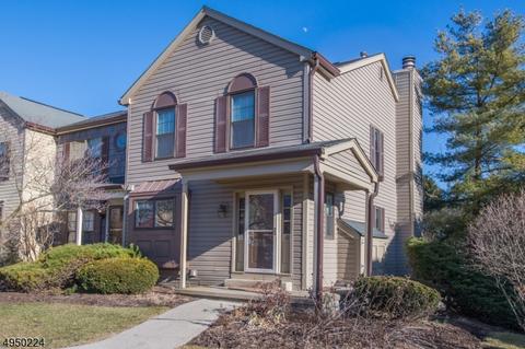 60 Duck Hawk Ct, Hackettstown, NJ 07840 photo 1