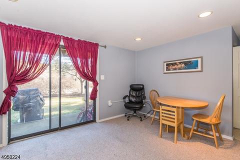60 Duck Hawk Ct, Hackettstown, NJ 07840 photo 15