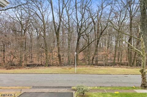 51 Smithfield Dr, Springfield, NJ 07081 photo 19