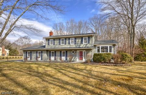 36 Drake Rd, Mendham, NJ 07945 photo 1
