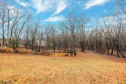 449 Paramus Rd, Paramus, NJ 07652 photo 25