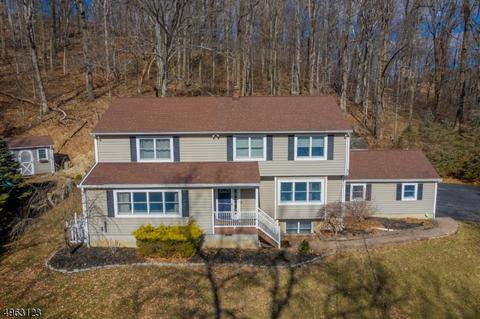 4 Hillside Ter, Hampton, NJ 08827 photo 2
