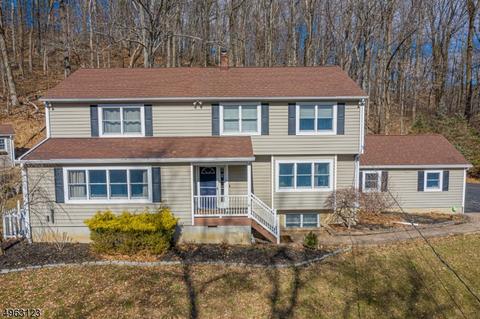 4 Hillside Ter, Hampton, NJ 08827 photo 1
