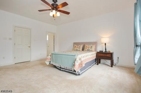 2 Demott Rd, Flemington, NJ 08822 photo 18