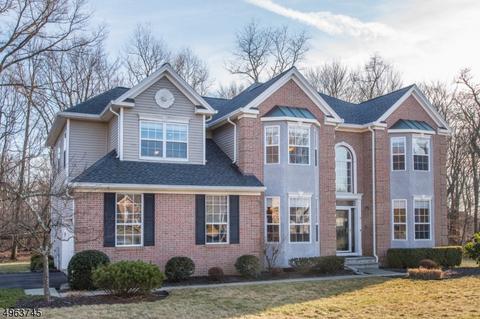 8 Stratton Ct, Hackettstown, NJ 07840 photo 23